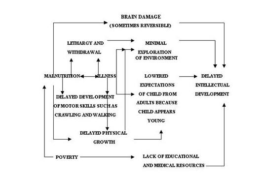 The Impact of Junk Food on Children